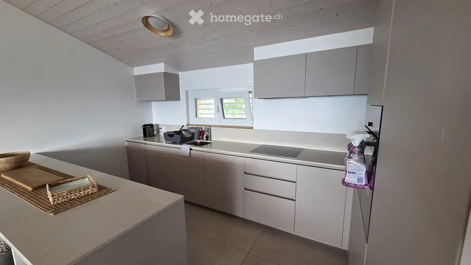 SUBENTRANTE DUPLEX: 4.5 LOCALI - BOSCO LUGANESE - Beau