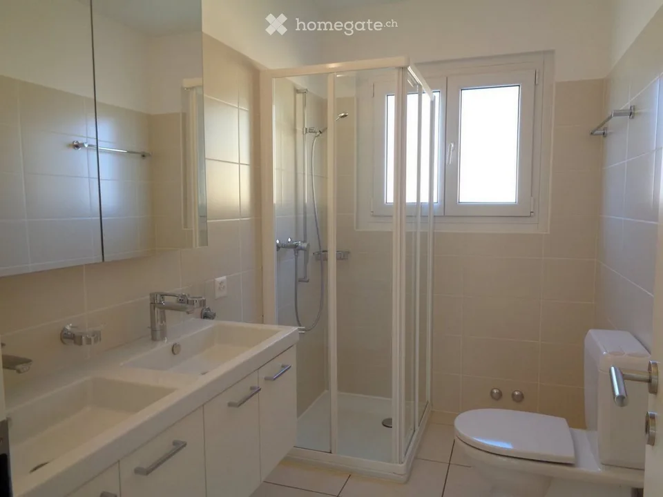 Ich suche einen Nachmieter für 3.5 Zimmer