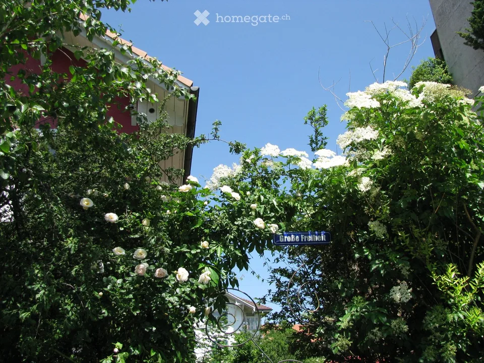 Appartement avec jardin à Thun 4,5 pièces dans un environnement verdoyant