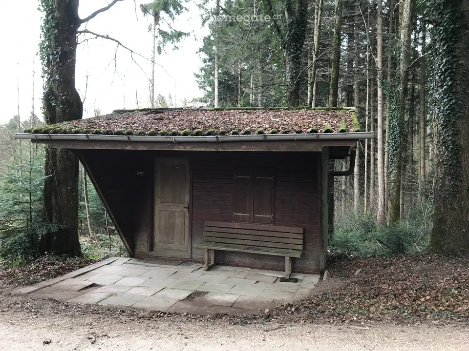 1065 m2 Wald mit Waldhäuschen in Schlatt (ZH) zu verkaufen