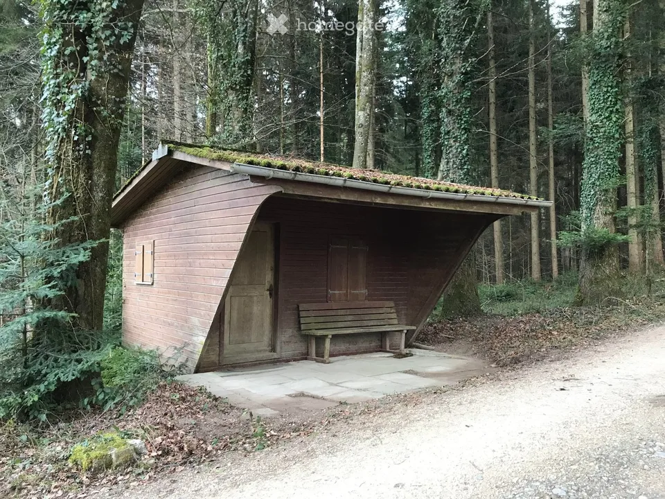 1065 m2 forest with a forest house in Schlatt (ZH) for sale