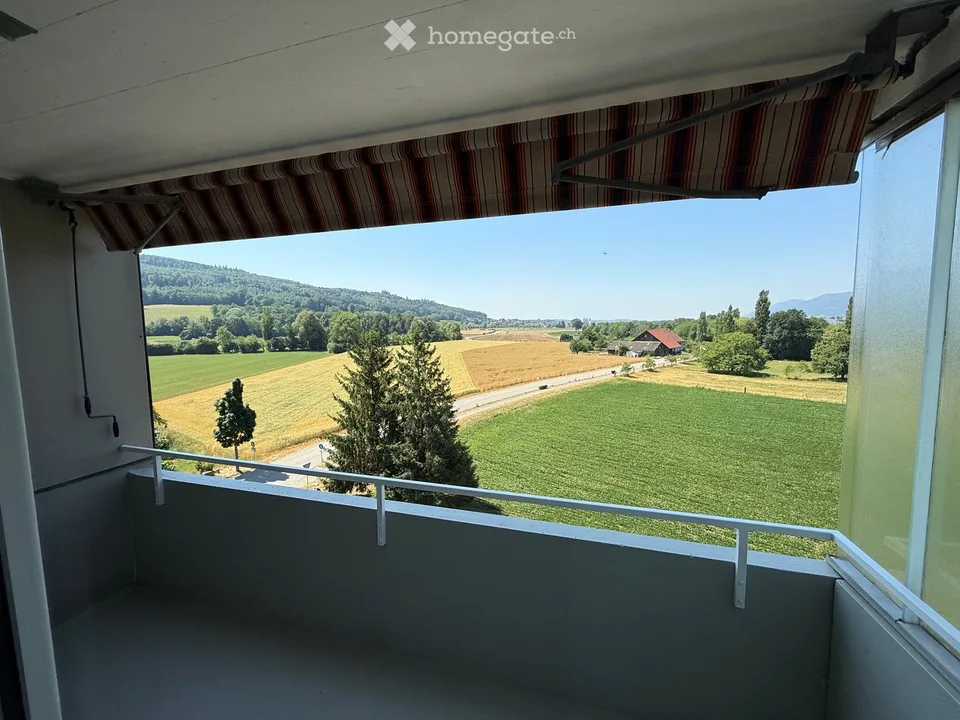 Appartement de 3,5 pièces complètement rénové avec vue panoramique