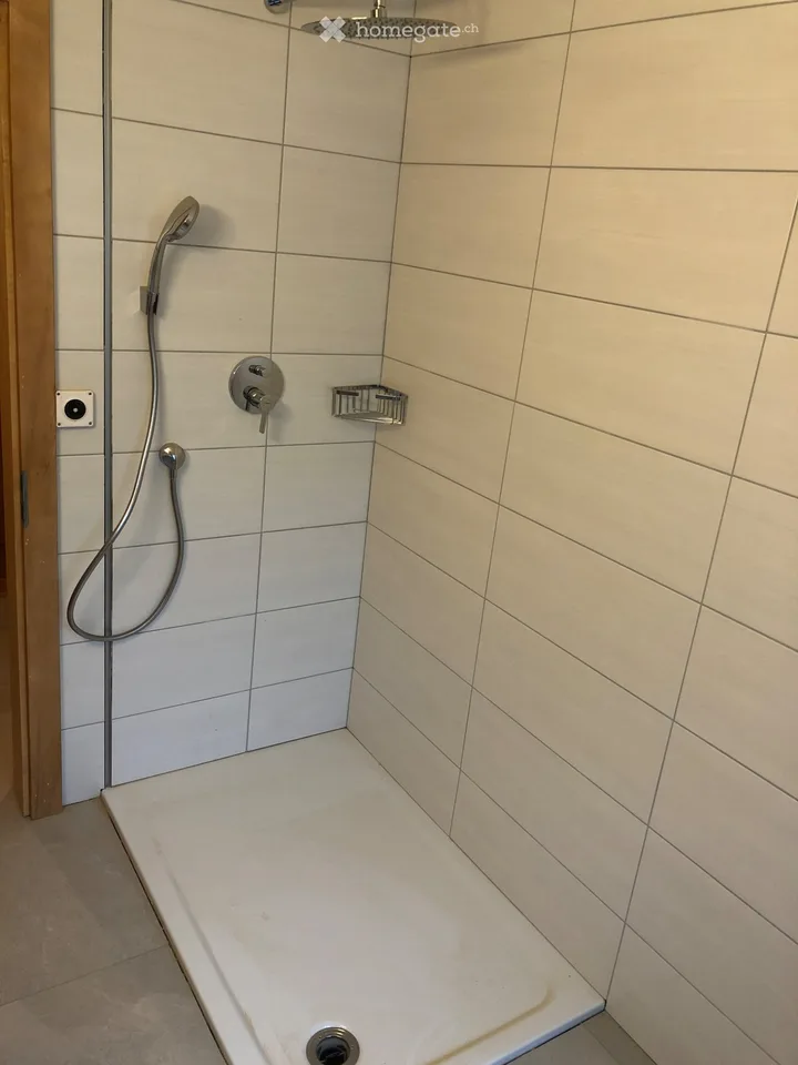 Wohnung zur Miete 3,5 Zimmer in Troistorrents