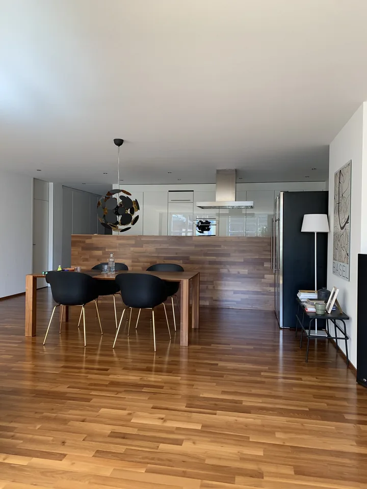 Loft apartment in the center of Basel