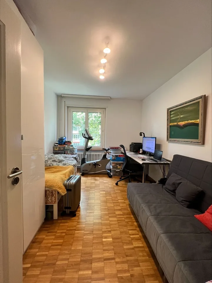 Renovated 3-room apartment for rent in quiet Egghölzli