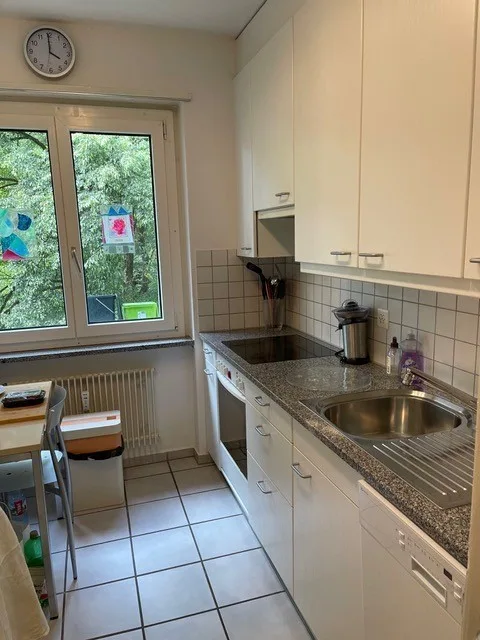 Renovated 3-room apartment for rent in quiet Egghölzli