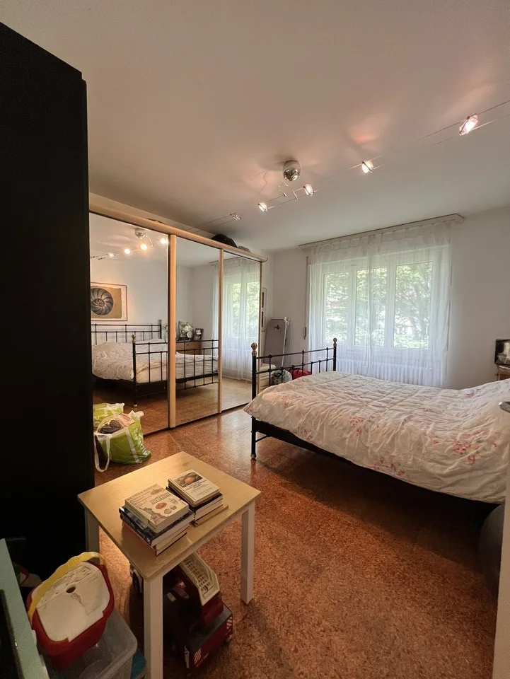 Renovated 3-room apartment for rent in quiet Egghölzli
