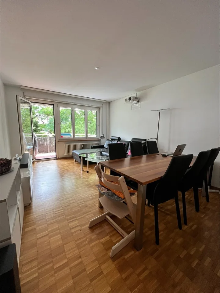 Renovated 3-room apartment for rent in quiet Egghölzli