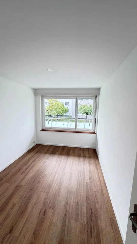 Charming renovated 4-room apartment in a green area