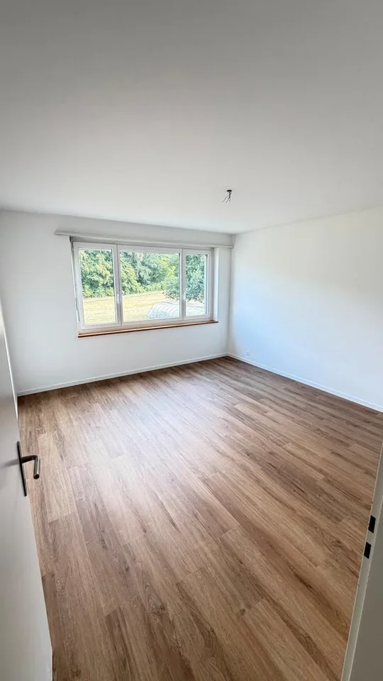 Charming renovated 4-room apartment in a green area