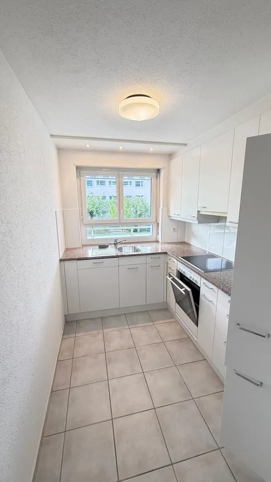 Charming renovated 4-room apartment in a green area