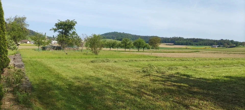 Neubauprojekt - Sechs Familienhäuser in Windlach ZH
