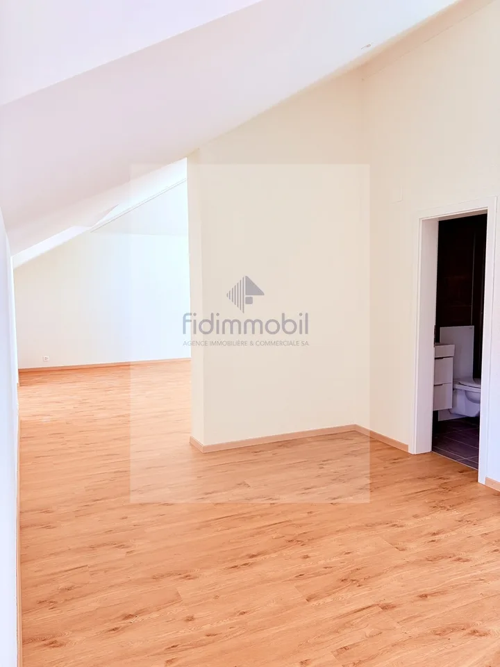 Splendido loft nuovo, in affitto a Peseux