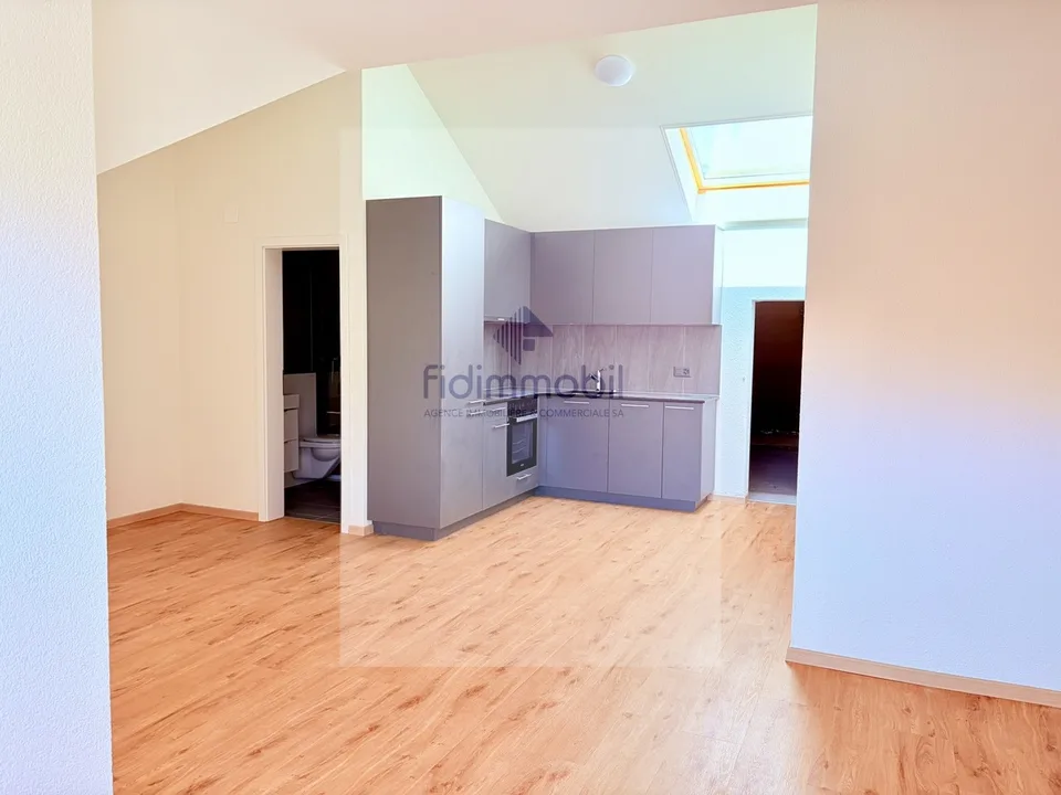 Splendide loft neuf, à louer à Peseux
