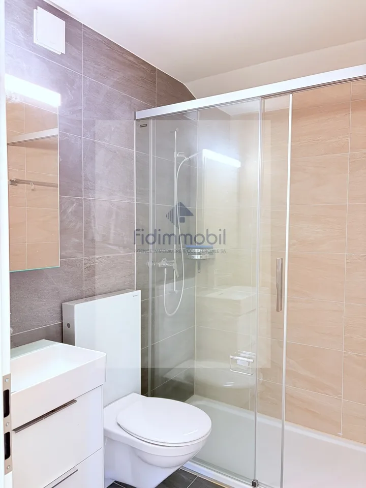 Splendido loft nuovo, in affitto a Peseux