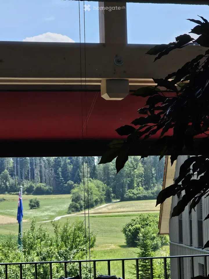 Appartamento in mansarda nuovo a Itzikon (vicino a Grüningen)