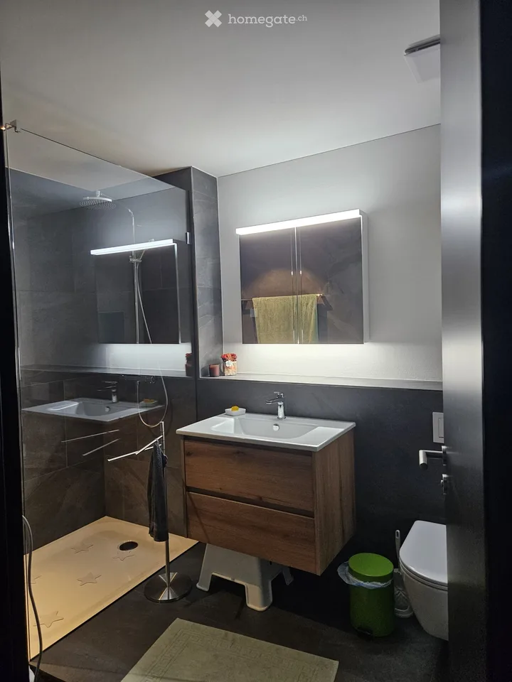 Appartamento in mansarda nuovo a Itzikon (vicino a Grüningen)