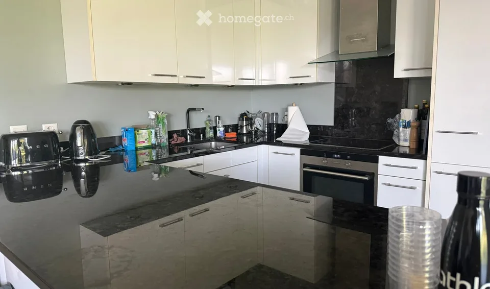 Spacious 4-Room Apartment for Rent in Mies