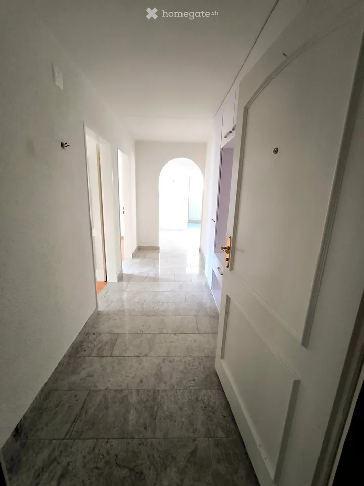 Ampio e luminoso appartamento di 4,5 locali a Buttikon