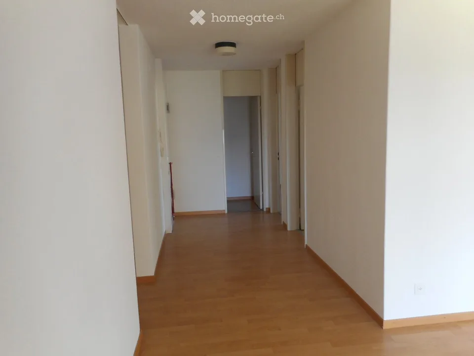 Well-maintained 3.5-room apartment with balcony and beautiful view in Aarburg