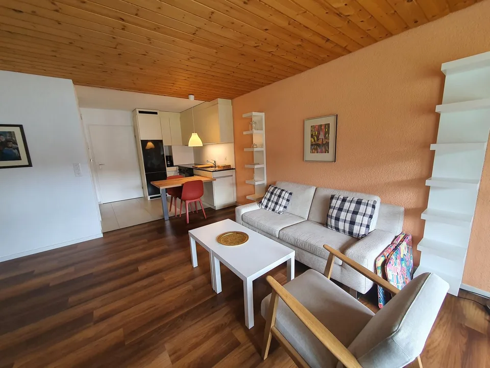 Furnished studio for rent in Parpan