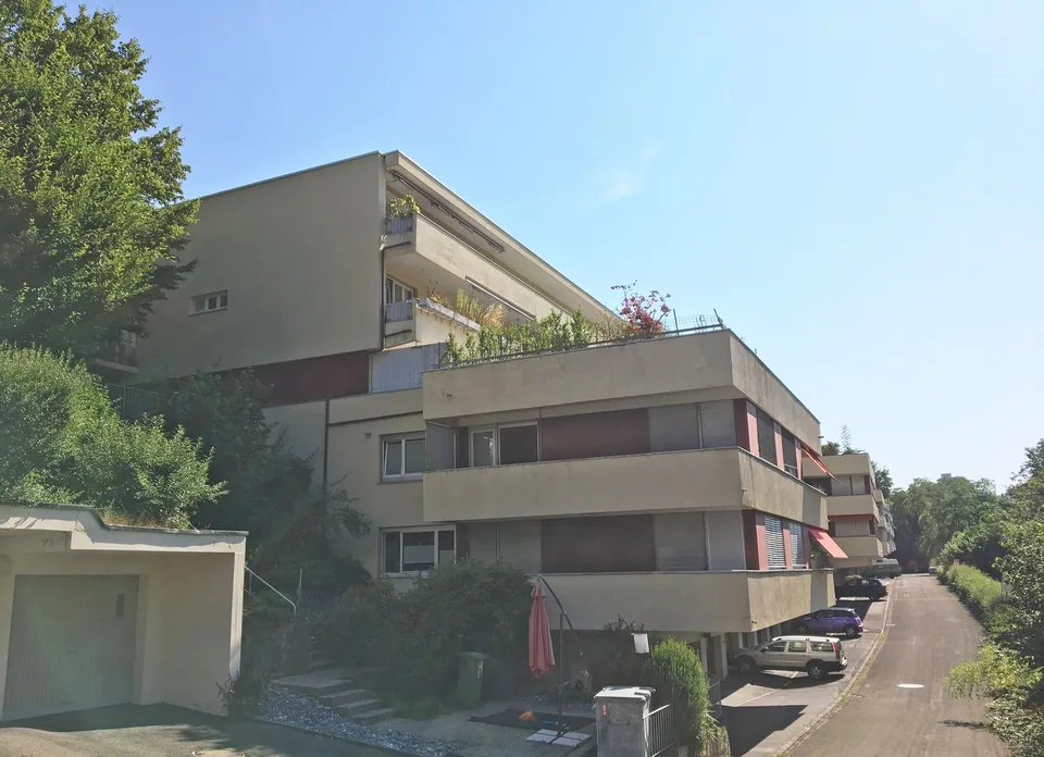 Frisch renovierte Terrassenwohnung mit Weitblick auf den Uetliberg