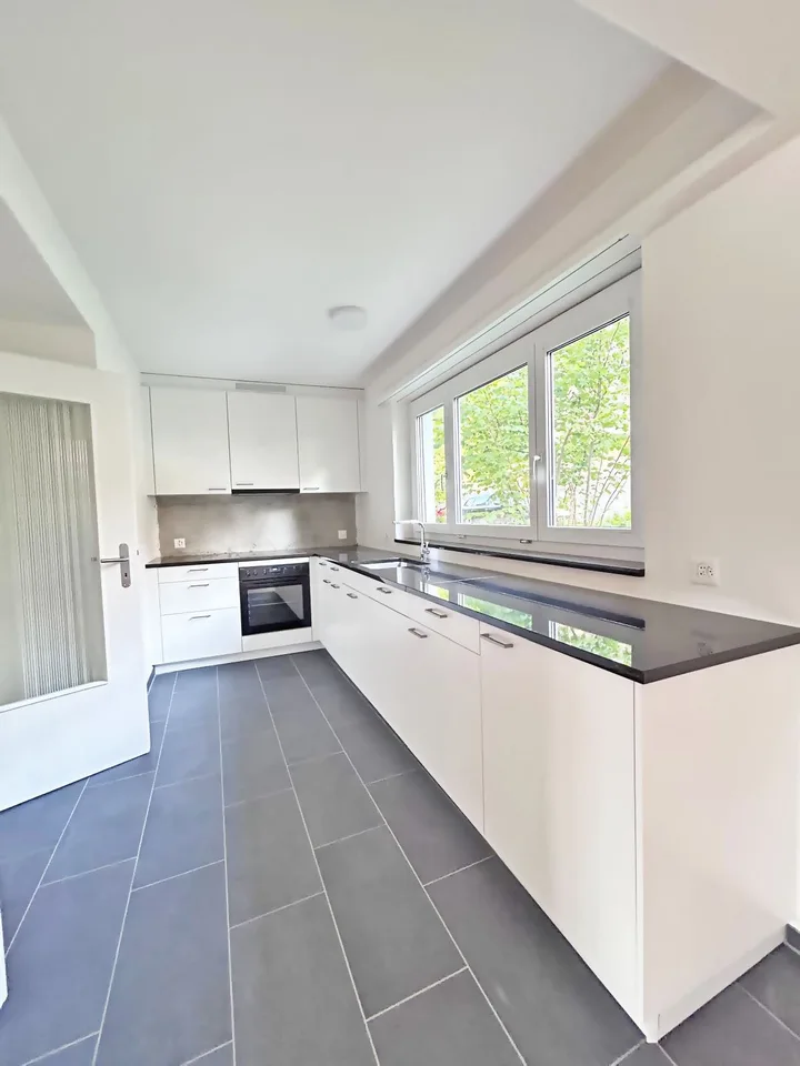 Appartement terrasse rénové récemment avec vue sur l'Uetliberg