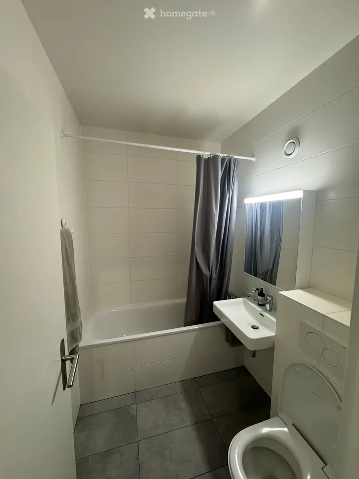 Bel appartement de 4 pièces rénové à Genève – Eaux-Vives