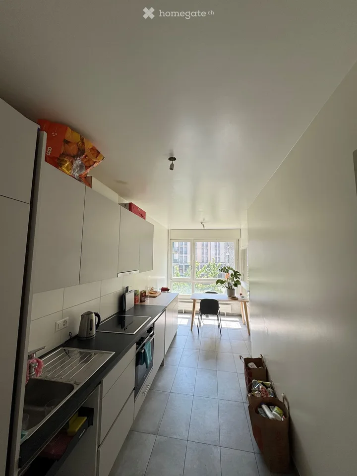 Bello appartamento di 4 locali ristrutturato a Ginevra – Eaux-Vives