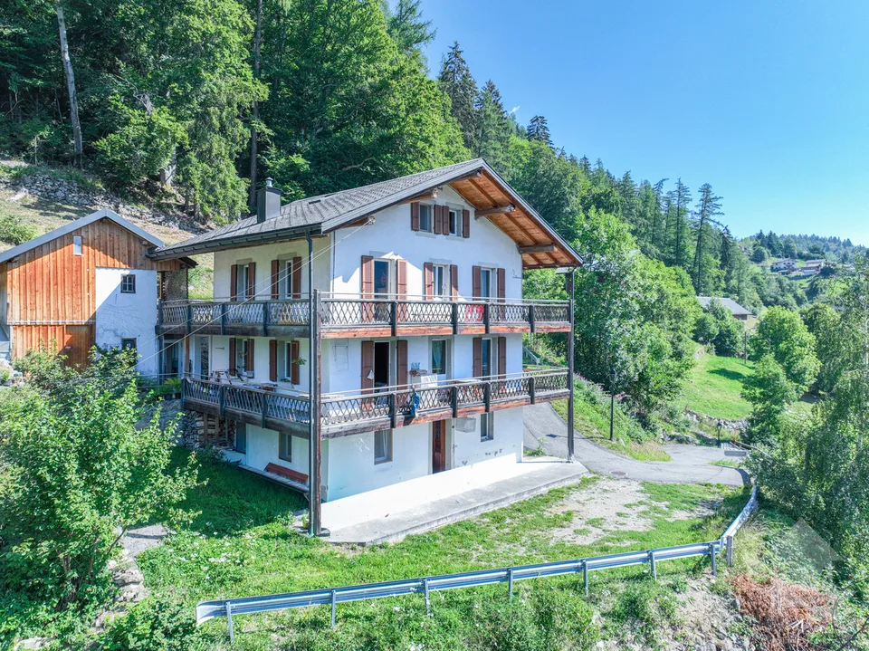 Appartement de 3.5 pièces avec vue sur le glacier de Trient
