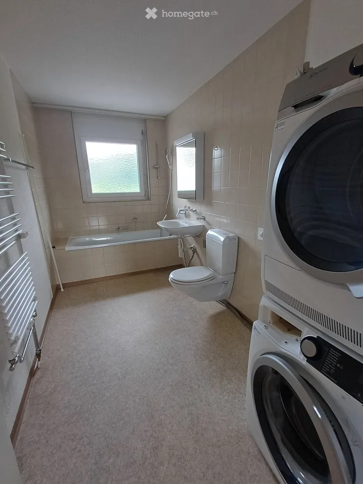 Sonnige 4.5-Zimmer-Eigentumswohnung in Grünen