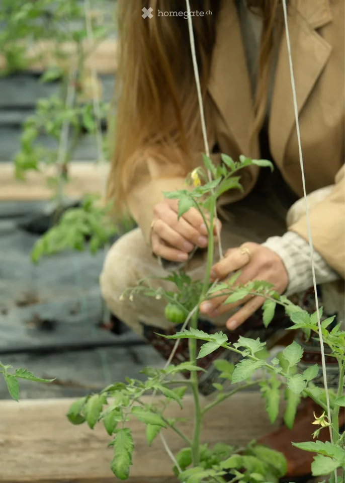 Colocataires recherchés pour ferme biologique près de Zurich
