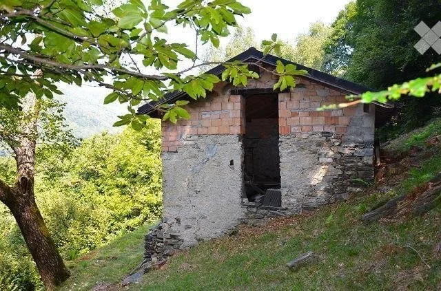 Grand rustique immergé dans la forêt avec grand terrain