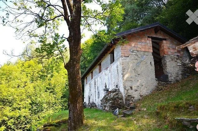 Grande rustico immerso nel bosco con grande terreno