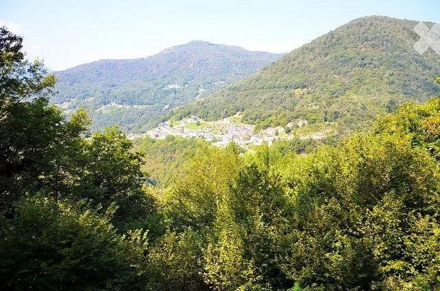 Grand rustique immergé dans la forêt avec grand terrain