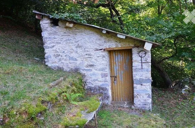Grand rustique immergé dans la forêt avec grand terrain