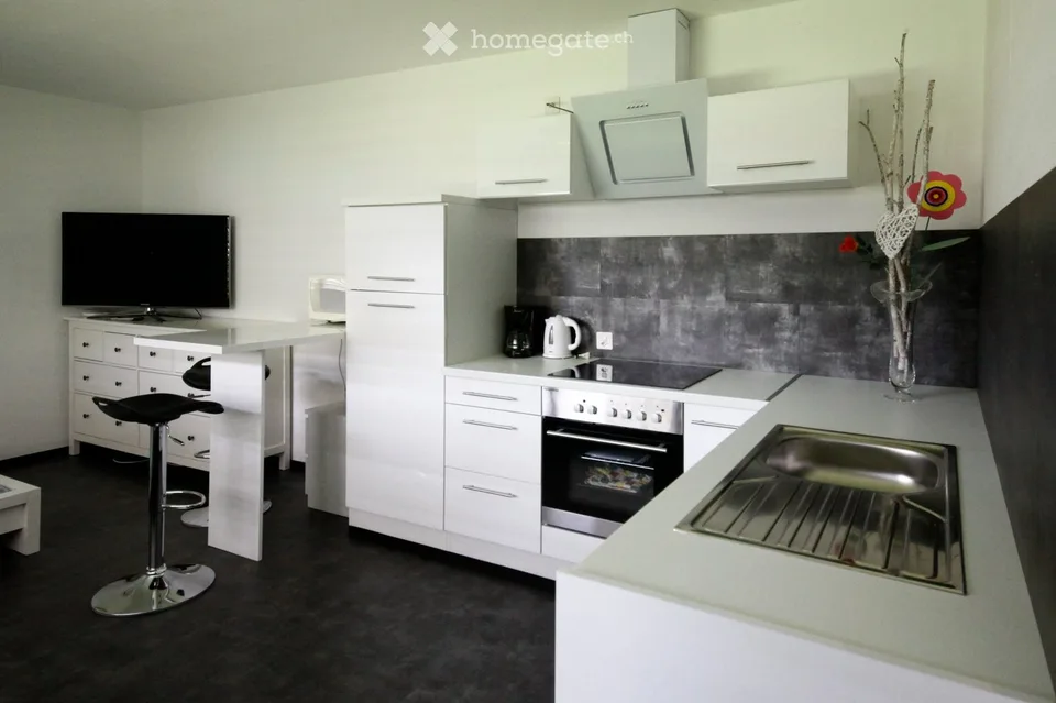 Furnished 1.5-room apartment for rent