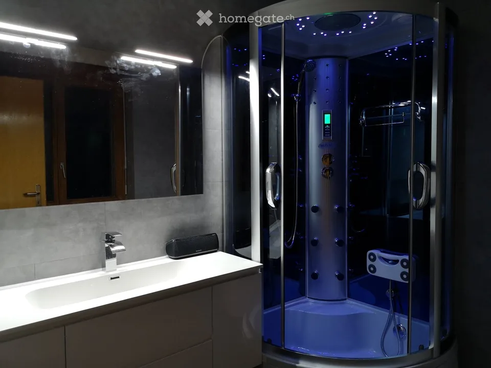 Furnished 1.5-room apartment for rent