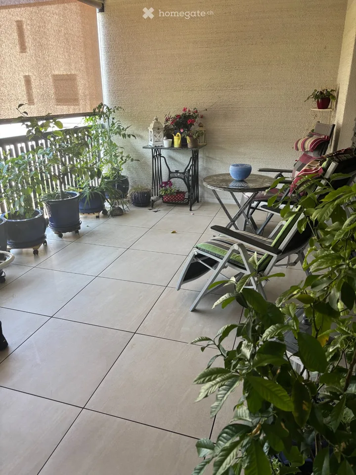 Appartement 2,5 pièces lumineux et accueillant à louer à partir du 01.10.2026