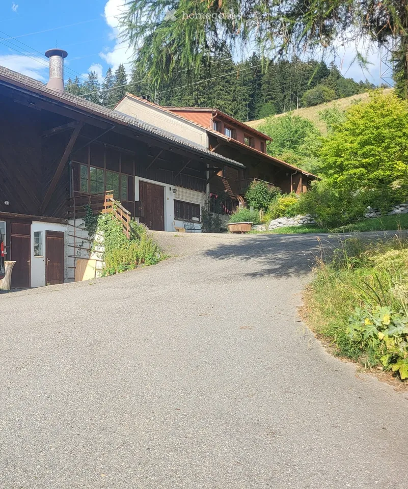 2.5-Zimmer-Wohnung im Grünen - oberhalb Girenbad Hinwil