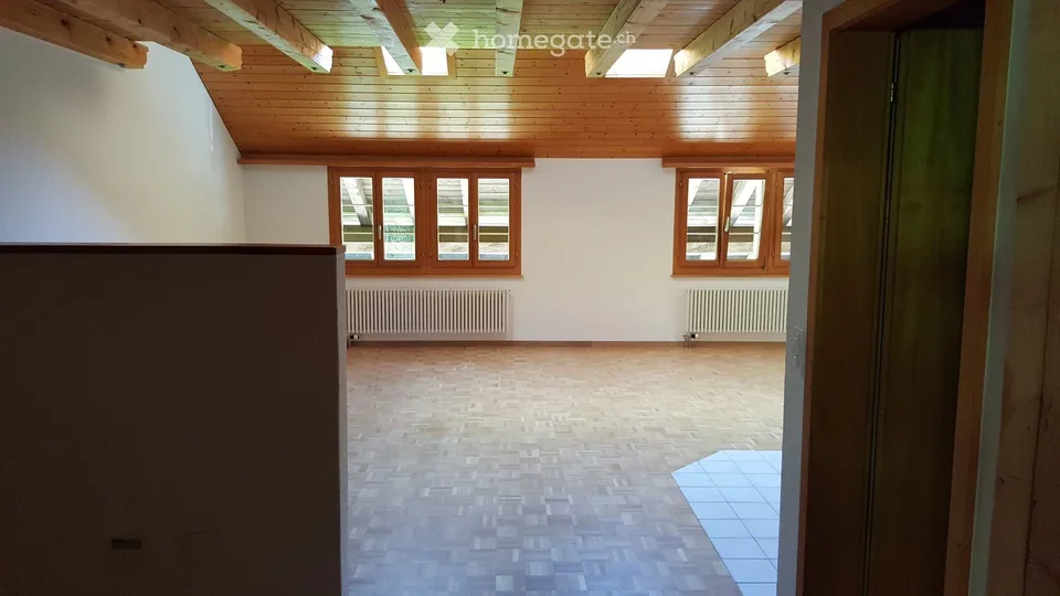 2.5-Zimmer-Wohnung im Grünen - oberhalb Girenbad Hinwil