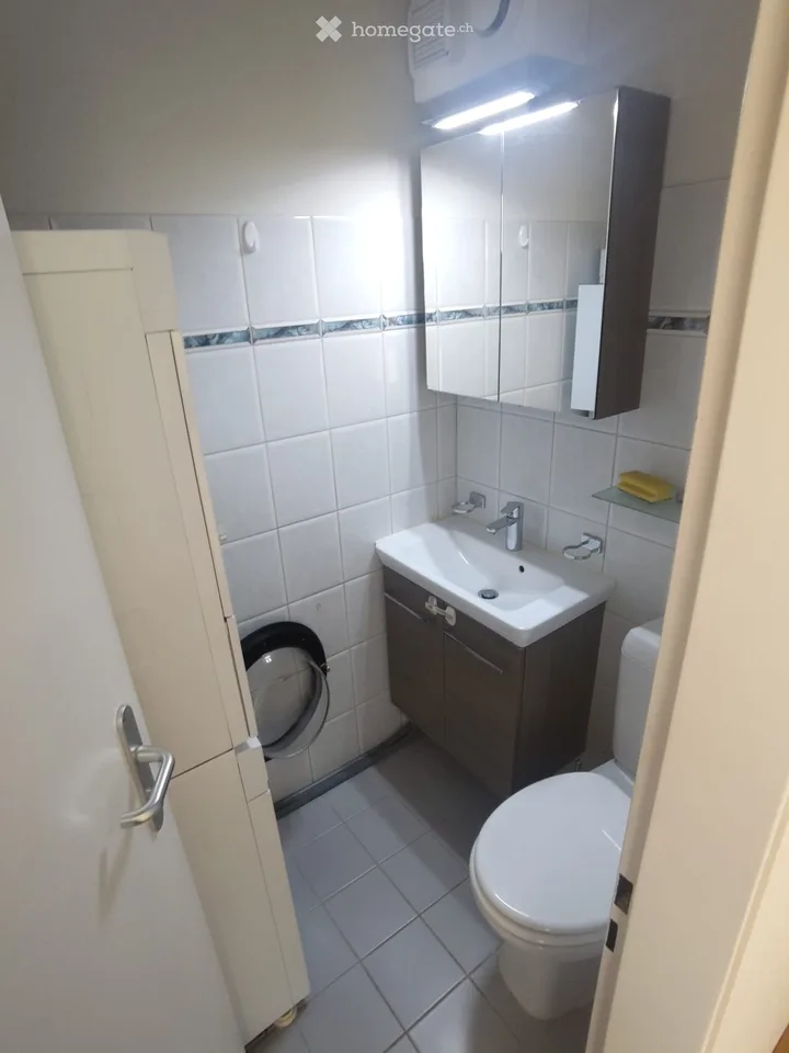 Helle 5.5-Zimmer-Wohnung in Lenzburg