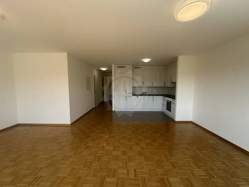 Charmantes Apartment - La Plaine