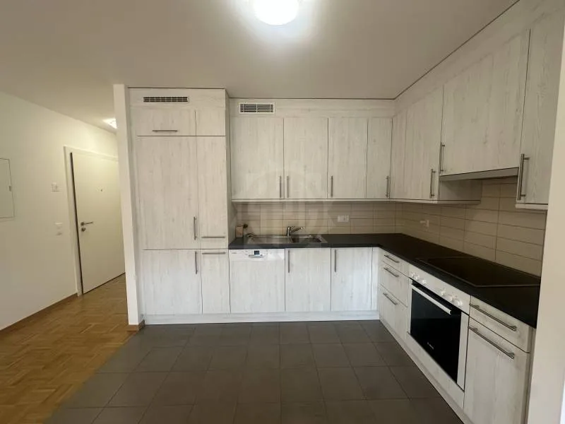 Charmantes Apartment - La Plaine