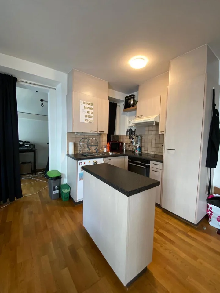 Charming 3.5-room apartment in the heart of Carouge