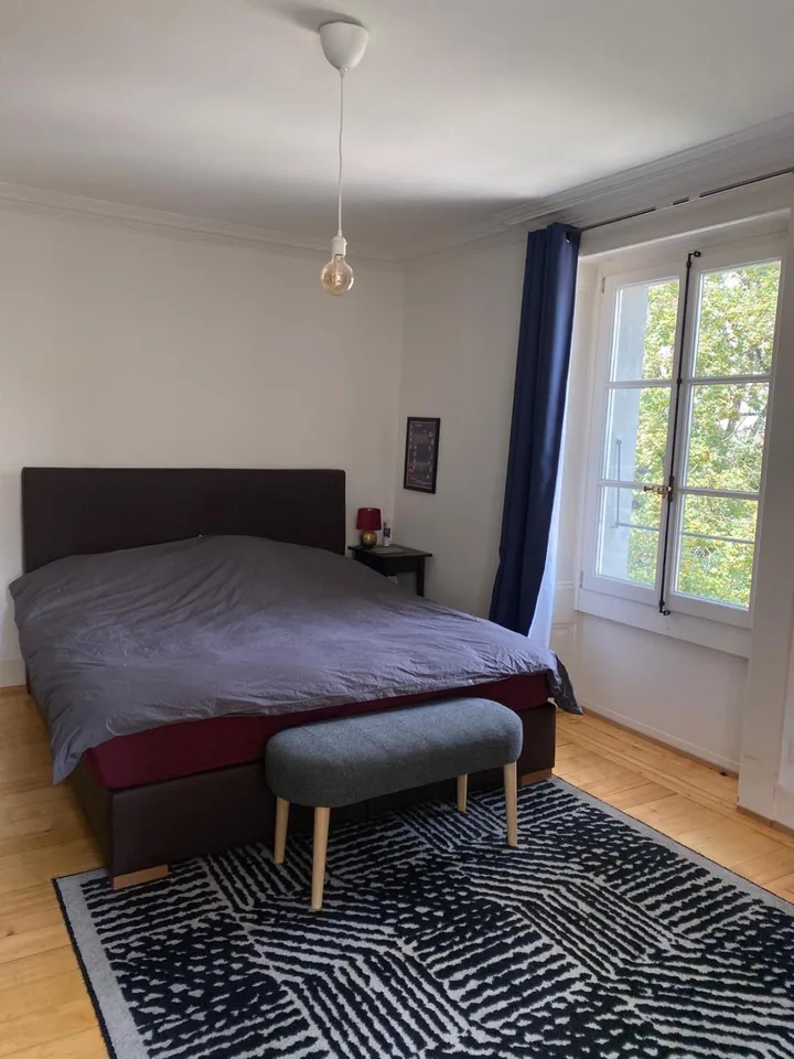 Charming 3.5-room apartment in the heart of Carouge