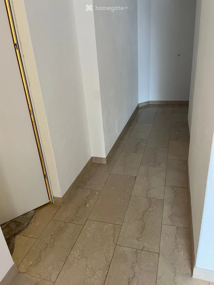 Appartement avantageux en termes d'impôts dans la commune de Bäch