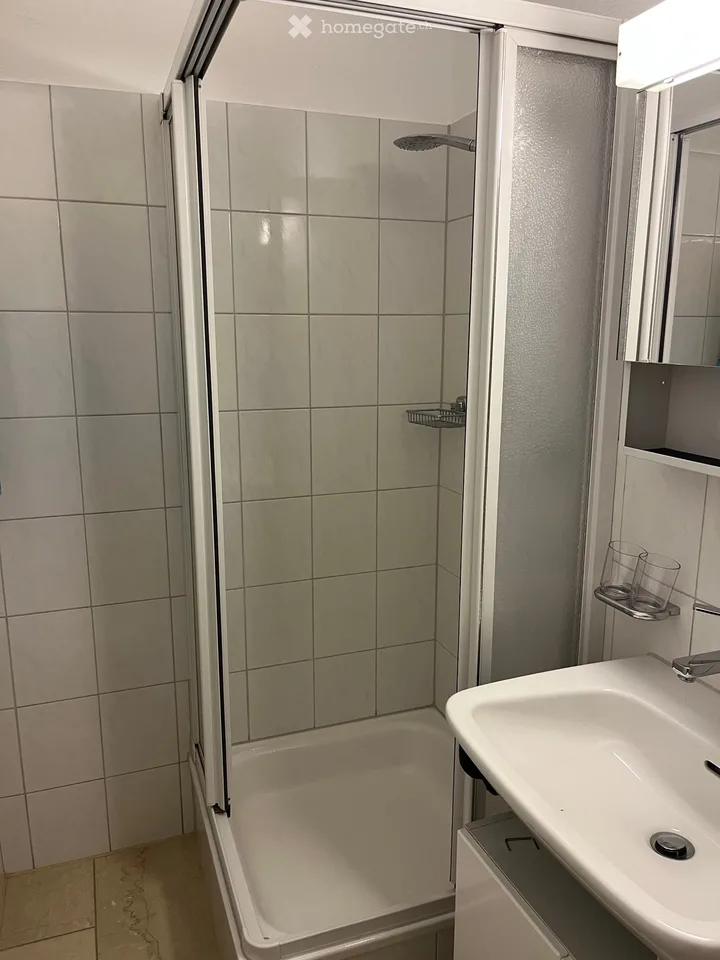Steuergünstige Wohnung in der Gemeinde Bäch