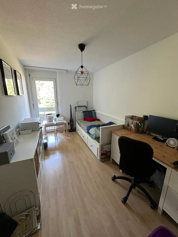 Ampio appartamento 4.5 locali con grande terrazza sul tetto