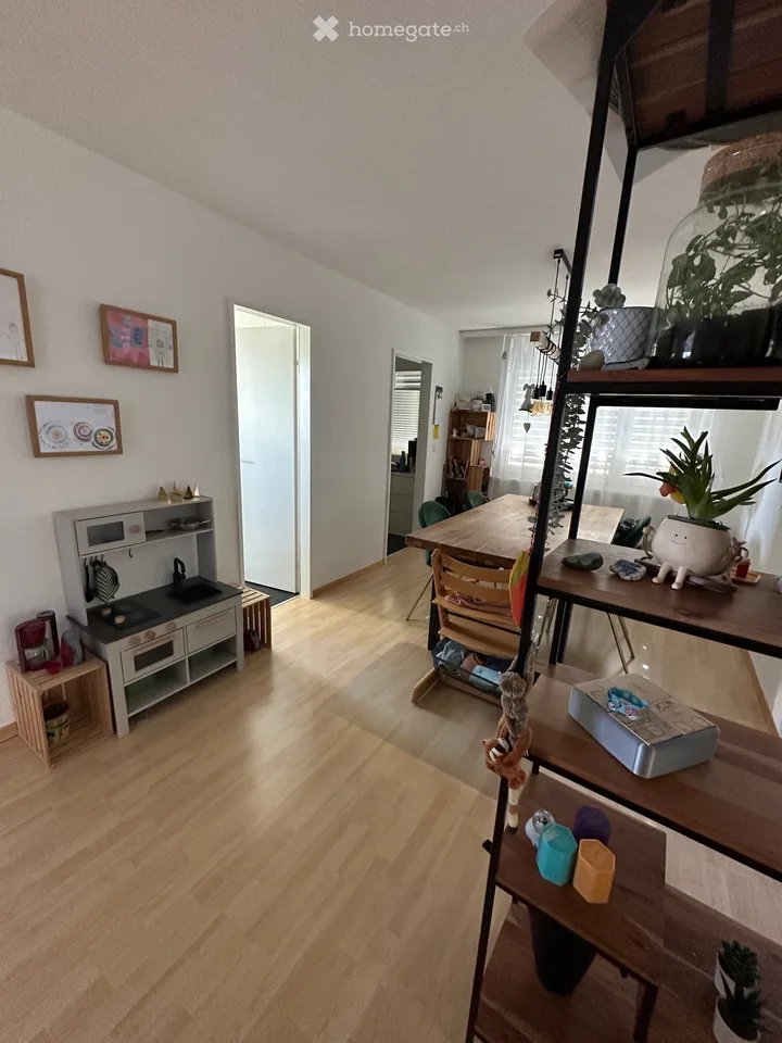 Ampio appartamento 4.5 locali con grande terrazza sul tetto